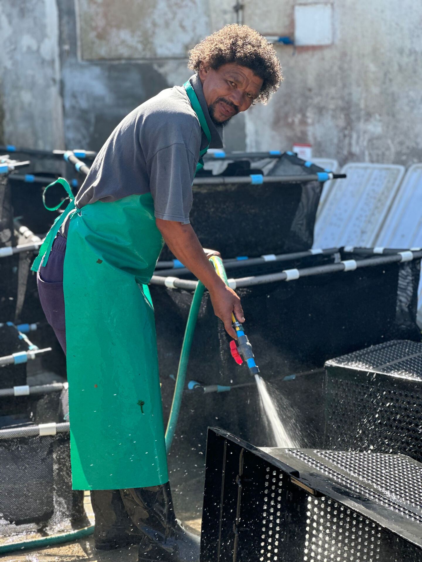 A Doring Bay team member tending grow-out baskets
