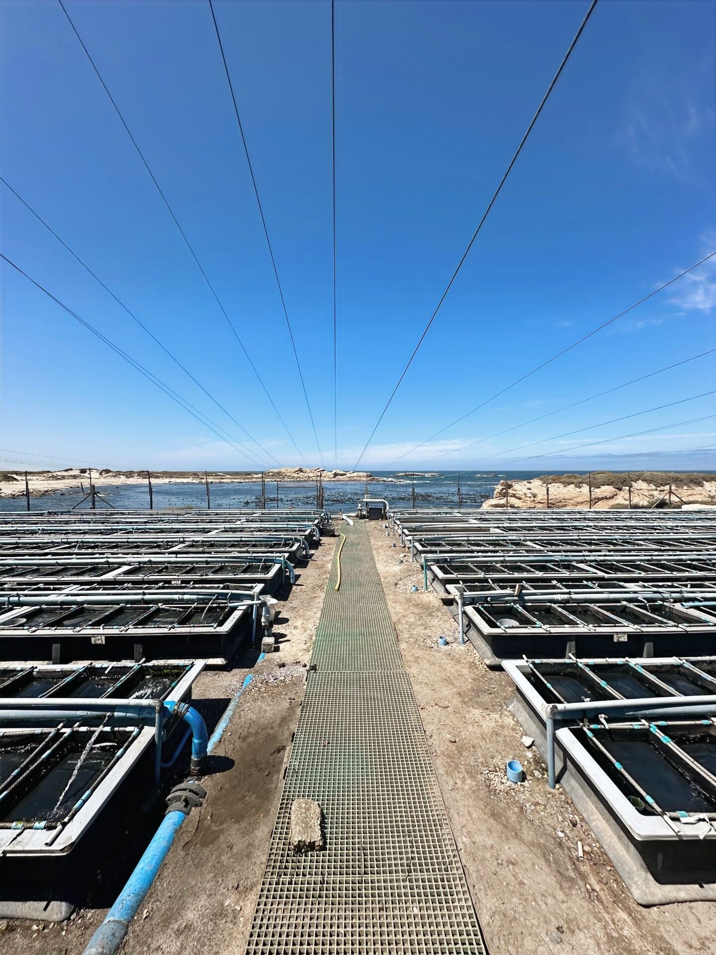Grow-out tanks facing the Atlantic
